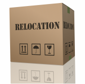 Relocation moving box